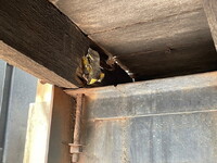 MITSUBISHI FUSO Super Great Aluminum Block KL-FU50KTX 2003 766,066km_19