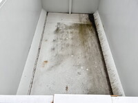 ISUZU Forward Container Carrier Truck 2RG-FRR90S4 2025 1,408km_10