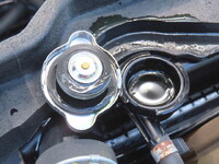 ISUZU Elf Dump 2RG-NKR88AD 2019 55,500km_18