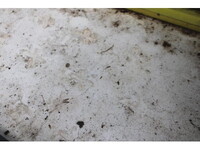 ISUZU Elf Refrigerator & Freezer Truck TPG-NHS85AN 2015 254,000km_17