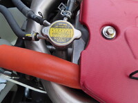 HINO Dutro Refrigerator & Freezer Truck 2KG-XZU712M 2025 3,000km_15