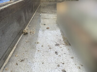 MITSUBISHI FUSO Fighter Dump 2KG-FK71F 2019 93,965km_11