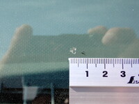 ISUZU Forward Truck (With 4 Steps Of Cranes) 2PG-FRR90S1 2018 57,700km_39