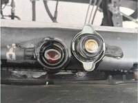 MITSUBISHI FUSO Fighter Refrigerator & Freezer Truck 2KG-FK64F 2019 246,444km_20