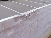 Others Others Flat Bed With Side Flaps DFPFF241B 2002 0km_22