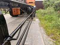 Others Others Marine Container Trailer TC36H1C34 2018 0km_11