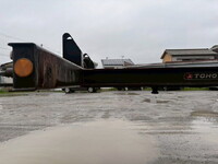 Others Others Marine Container Trailer TC36H1C34 2018 0km_6