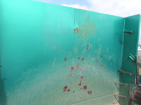 ISUZU Giga Dump 2PG-CXZ77CT 2019 379,000km_36