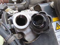 ISUZU Forward Refrigerator & Freezer Truck 2PG-FSR90T2 2021 336,000km_19