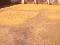 MITSUBISHI FUSO Fighter Dump 2KG-FK72F 2020 26,000km_12