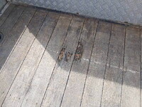 ISUZU Forward Truck (With 4 Steps Of Cranes) QKG-FTR34T2 2017 700,000km_21