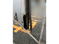 MITSUBISHI FUSO Canter Refrigerator & Freezer Truck 2RG-FBA20 2021 103,266km_15