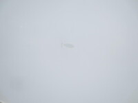 MITSUBISHI FUSO Fighter Refrigerator & Freezer Truck 2KG-FK62F 2021 273,886km_22