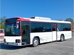 Blue Ribbon Bus