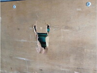 HINO Profia Aluminum Wing QKG-FR1EXBG 2013 519,300km_15