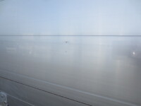 UD TRUCKS Quon Aluminum Wing 2PG-CG5CA 2017 604,333km_29