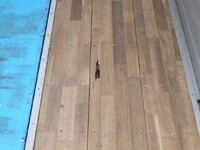 HINO Profia Aluminum Wing 2DG-FW1AHG 2019 360,770km_30