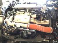 ISUZU Elf Dump 2PG-NKS88AD 2026 249km_13