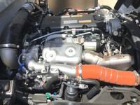 ISUZU Elf Dump 2PG-NKS88AD 2026 256km_15