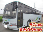 Selega Bus
