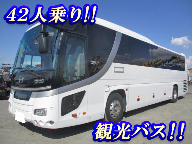 HINO Selega Tourist Bus PKG-RU1ESAA 2010 1,628,867km