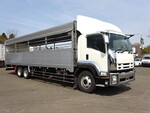 Forward Cattle Transport Truck