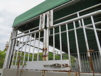 MITSUBISHI FUSO Fighter Cattle Transport Truck 2KG-FK61F 2018 245,000km_33
