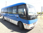 Rosa Micro Bus