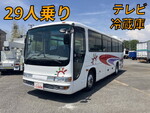 Gala Mio Bus