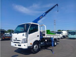 Dutro Truck (With 4 Steps Of Cranes)