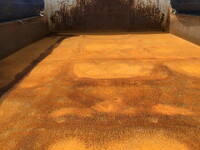 ISUZU Forward Dump 2RG-FRR90S2 2020 69,853km_11