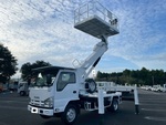 Elf Cherry Picker