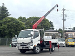 Dutro Truck (With 4 Steps Of Cranes)
