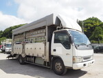 Elf Cattle Transport Truck