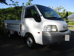 Vanette Flat Body