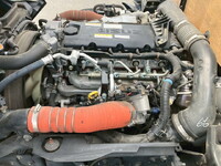 ISUZU Elf Flat Body 2RG-NKR88R 2020 102,965km_29