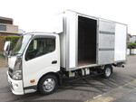 Dutro Panel Van