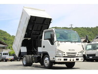 ISUZU Elf Deep Dump TPG-NJR85AD 2017 38,000km_1