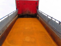 HINO Profia Dump QKG-FS1EKAA 2014 613,500km_37