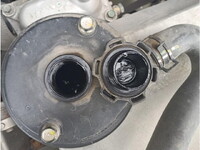 HINO Profia Trailer Head 2DG-SH1EEGG 2019 629,161km_9