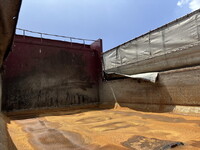 HINO Ranger Dump LKG-FE7JEAA 2012 360,831km_13