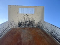HINO Dutro Loader Dump 2KG-XZU600T 2024 8,160km_16