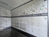 TOYOTA Toyoace Panel Van ABF-TRY230 2016 77,077km_10