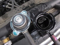 HINO Ranger Container Carrier Truck 2KG-FE2ACA 2025 3,000km_16