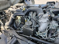 ISUZU Forward Dump 2RG-FTR90U4 2025 697km_15