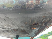 Others Others Marine Container Trailer CTS340AB 1999 1,000km_22