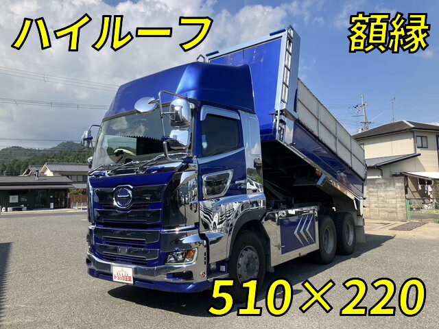 Profia Dump_1
