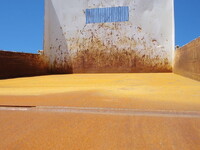 ISUZU Forward Dump 2RG-FRR90S1 2021 42,000km_13