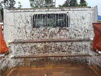 ISUZU Elf Dump TPG-NKR85AN 2017 97,642km_8