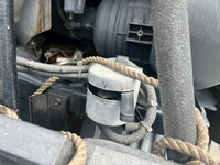 HINO Profia Trailer Head 2DG-SH1EDGG 2019 262,000km_19